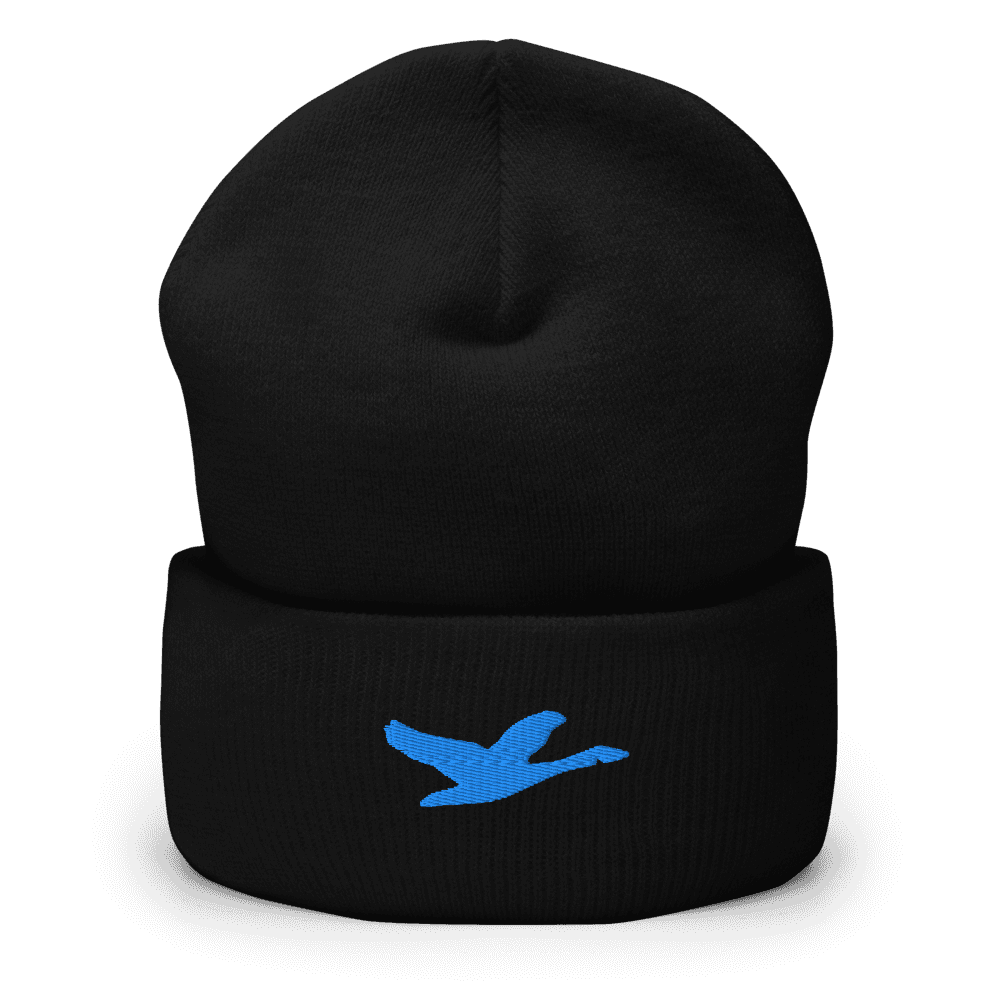 Grown Beanie — Black · Sky